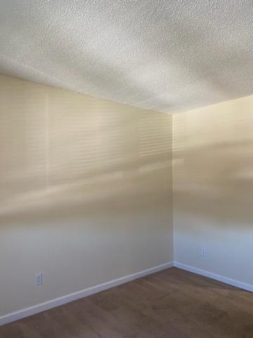 Gallery Photo 13